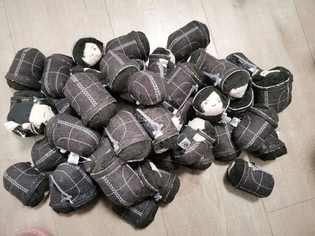 是在竹p还在的时候切的，点数很多，本来走ems担心被退运但是走竹p按体积重价格非常惊人。正好碰到竹蜻蜓专线升级也是美美走了竹专，按实重特别好，也是让我吃上升级福利了。