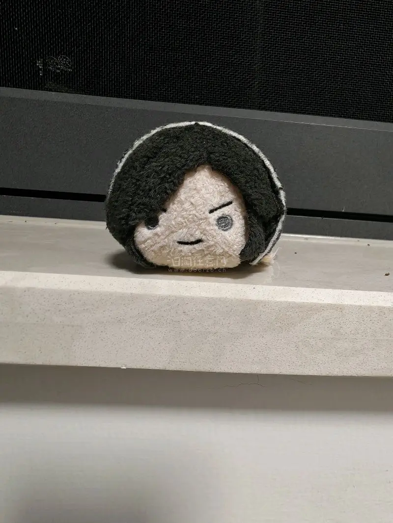 是在竹p还在的时候切的，点数很多，本来走ems担心被退运但是走竹p按体积重价格非常惊人。正好碰到竹蜻蜓专线升级也是美美走了竹专，按实重特别好，也是让我吃上升级福利了。