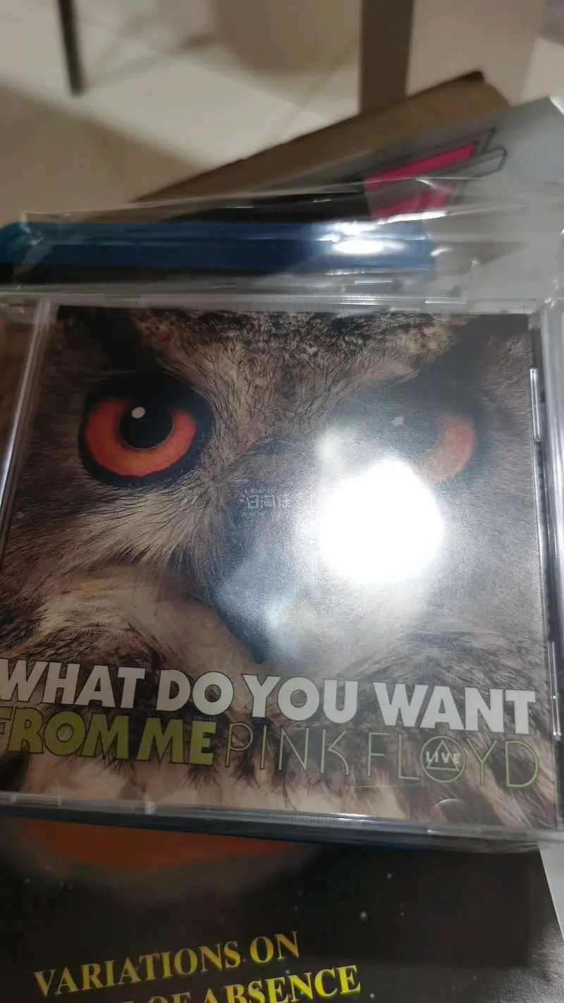第99单挖煤姬啦，又是一箱pink Floyd的唱片一直走海运，非常稳定，对重货来说非常有性价比，值得推荐