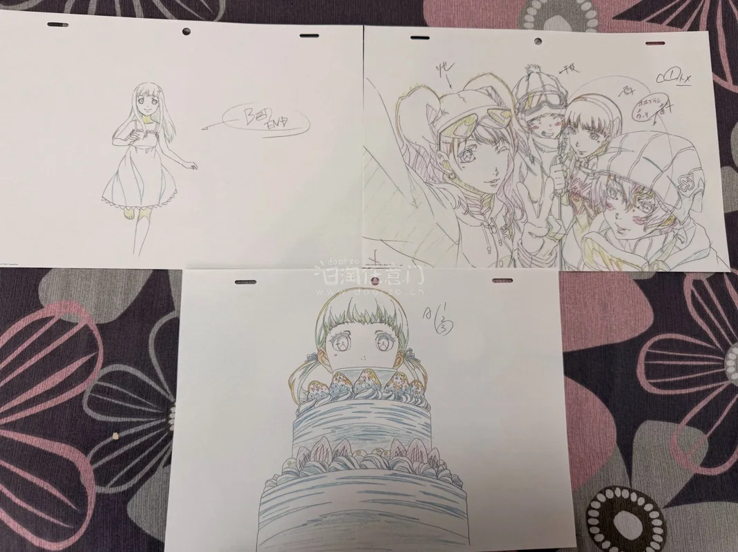 忘记选入库拍照服务了于是被骏河屋少发一张…不过挖煤姬很好，挖煤姬客服回复也很快很耐心，总体来说还不错