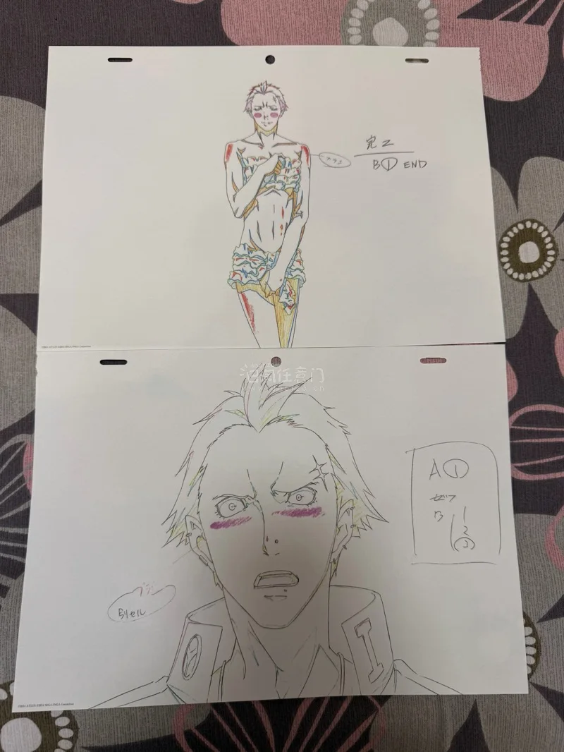 忘记选入库拍照服务了于是被骏河屋少发一张…不过挖煤姬很好，挖煤姬客服回复也很快很耐心，总体来说还不错