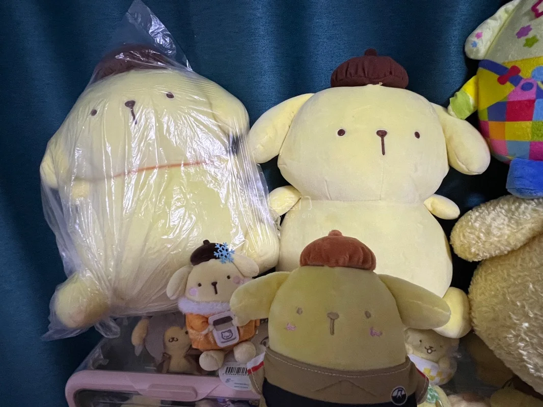 胖乎乎的布丁狗很可爱，包装也很好
总体来说确实是一次很满意的切煤!!EMS速度还是可以
的!尤其是清关之后第二天早上就到了包装盒很结实，
打包也很扎实，里面塞了很多泡沫纸。