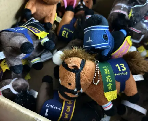 本次在挖煤姬的购物体验非常满意！入手的小马玩偶挂件做工精致，毛绒手感柔软细腻，造型可爱还原度高，细节处理到位。平台转运打包严实，物流时效稳定，客服响应贴心，全程购物省心顺畅，物超所值，后续还会继续在平台选购！