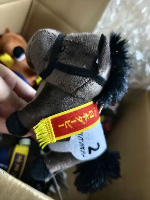 本次在挖煤姬的购物体验非常满意！入手的小马玩偶挂件做工精致，毛绒手感柔软细腻，造型可爱还原度高，细节处理到位。平台转运打包严实，物流时效稳定，客服响应贴心，全程购物省心顺畅，物超所值，后续还会继续在平台选购！