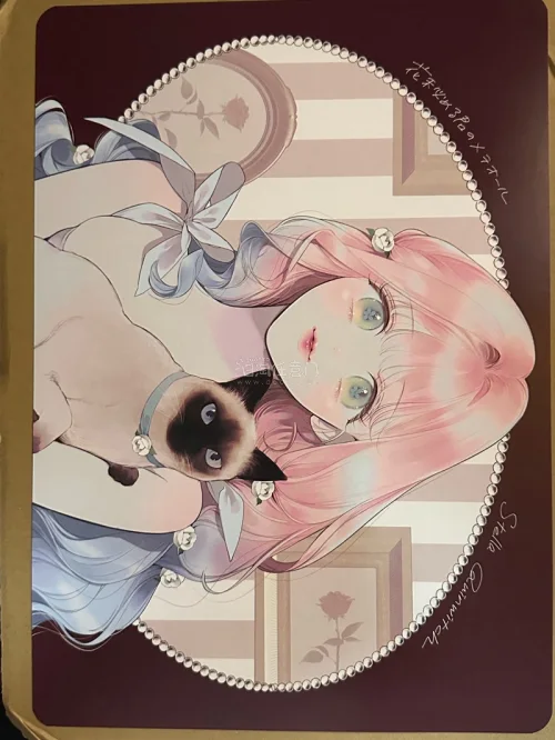 速度挺快的，包装也特别好，泡沫袋包得很严实，立牌和纸片基本无伤到手！！特别好的一次体验！下次还来嘿嘿