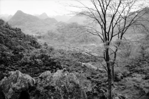 商品描述跟实际的情况一样，包装很好，没受到远距离的颠簸影响，整体购物体验不错！下次还有想要的东西海淘还会来