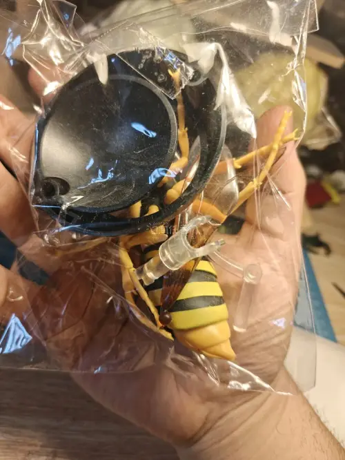 买的万代生物大图鉴系列的动物扭蛋模型手办，还有海洋堂日本的动物系列非常喜欢什么类型的都有的，平台速度很快很不错，很赞很棒，哈哈，瑕疵没有，继续整理回购！