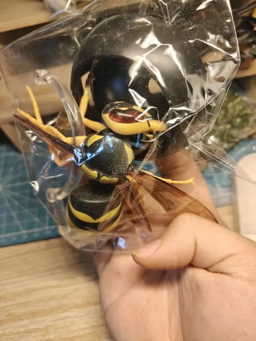 买的万代生物大图鉴系列的动物扭蛋模型手办，还有海洋堂日本的动物系列非常喜欢什么类型的都有的，平台速度很快很不错，很赞很棒，哈哈，瑕疵没有，继续整理回购！