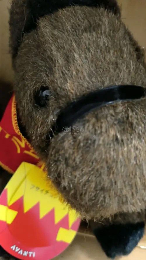 -挖煤姬真的太香了！切煤秒下单，速度超快。打包超级用心，气泡膜、硬纸板全安排，易碎品也完好无损。物流时效稳定，清关顺利，合箱还能省运费。客服有问必答，超耐心。积分抵运费超划算，全程透明无乱收费。日淘就认准挖煤姬，买到了心仪的马偶