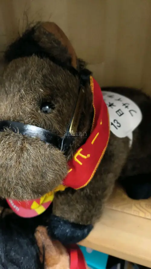 -挖煤姬真的太香了！切煤秒下单，速度超快。打包超级用心，气泡膜、硬纸板全安排，易碎品也完好无损。物流时效稳定，清关顺利，合箱还能省运费。客服有问必答，超耐心。积分抵运费超划算，全程透明无乱收费。日淘就认准挖煤姬，买到了心仪的马偶