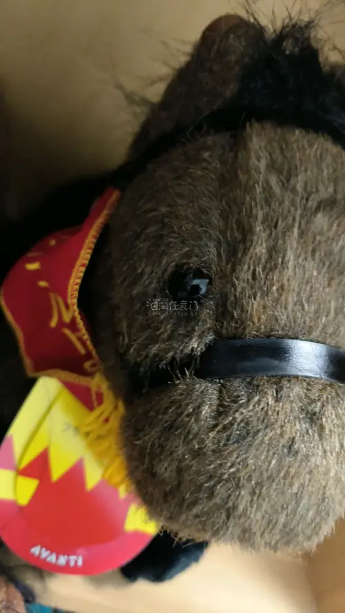 -挖煤姬真的太香了！切煤秒下单，速度超快。打包超级用心，气泡膜、硬纸板全安排，易碎品也完好无损。物流时效稳定，清关顺利，合箱还能省运费。客服有问必答，超耐心。积分抵运费超划算，全程透明无乱收费。日淘就认准挖煤姬，买到了心仪的马偶