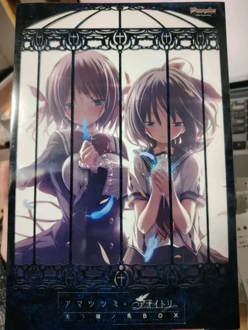 再一次在任意门上购买，买的紫社十周年box，一开始还顾及商品会不会有损伤，到手发现包装很用心，快递盒厚实，而且CD外壳还有纸板加空气泡板保护，商品没有损伤；走的邮政，速度很快；这次体验很好，可在任意门购物很放心