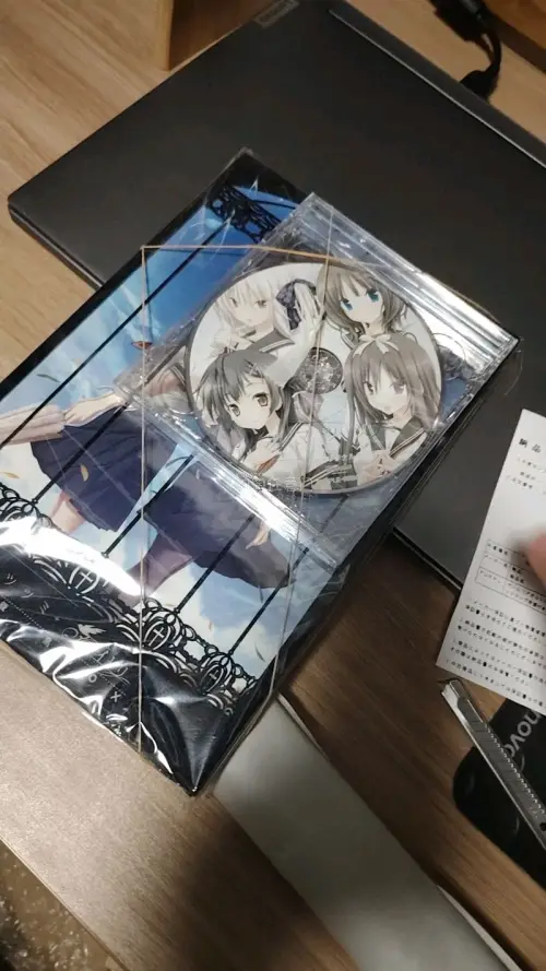 再一次在任意门上购买，买的紫社十周年box，一开始还顾及商品会不会有损伤，到手发现包装很用心，快递盒厚实，而且CD外壳还有纸板加空气泡板保护，商品没有损伤；走的邮政，速度很快；这次体验很好，可在任意门购物很放心