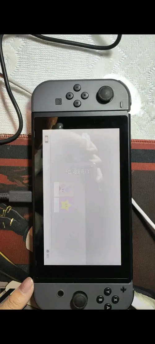 挖煤姬体验满分！界面好懂、操作顺滑，不用日语也能轻松下单。打包严实、物流快，包裹完好无损。客服响应快，新手友好，下次还来！