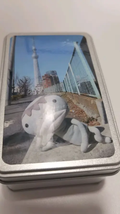 收到两个小铁盒叠起来收纳正好，印花耐看。PVC挂件软萌轻巧，挂在包上每天看着开心～实用又治愈的小可爱。希望快点恢复包税线路，放心购物冲冲冲～