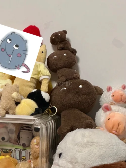 海淘日系毛绒太治愈了！国内难买的限定款，软fufu不掉毛，直邮到手完好无损，比代购便宜一大截，毛绒控直接沦陷！物流也更给力。