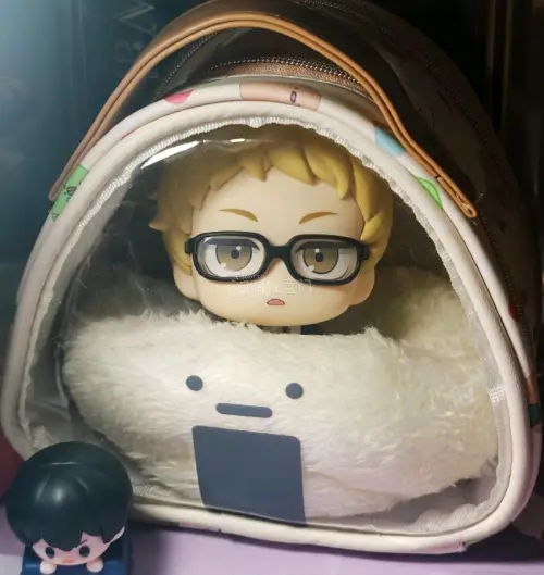 本体没有损伤，如果原盒也能保护好就更好啦！竹蜻蜓专线的优惠太美妙了，运费真的便宜，推荐推荐！希望活动一直做下去，永远支持挖煤姬！