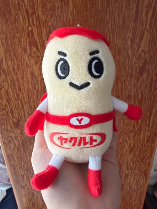 这次从任意门上面买了两个玩偶用了积分抵扣运费特别划算，虽然在海关卡了几天但是也是安全到家了，总共到家也就一星期左右刚好春天了购入几个小玩偶陪自己去踏春吧，可以带着它们去拍各种花花草草啦