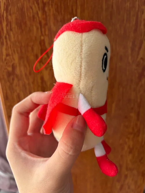 这次从任意门上面买了两个玩偶用了积分抵扣运费特别划算，虽然在海关卡了几天但是也是安全到家了，总共到家也就一星期左右刚好春天了购入几个小玩偶陪自己去踏春吧，可以带着它们去拍各种花花草草啦