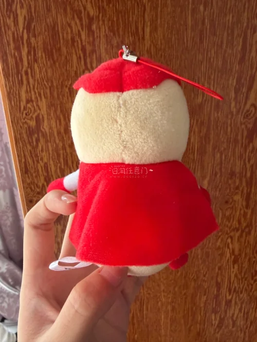 这次从任意门上面买了两个玩偶用了积分抵扣运费特别划算，虽然在海关卡了几天但是也是安全到家了，总共到家也就一星期左右刚好春天了购入几个小玩偶陪自己去踏春吧，可以带着它们去拍各种花花草草啦