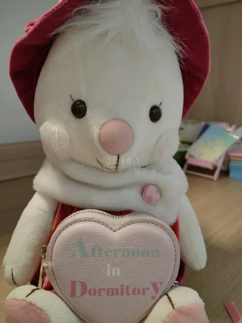 第一次任意门购物体验/成功下车