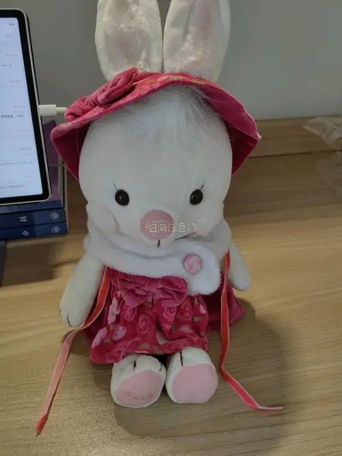 全世界最可爱的宝宝，漂洋过海来到了我的身边，太可爱了，娃娃和衣服一起到了，给小兔子穿上，特别可爱⚈₃⚈男朋友给乖宝宝起了名字，叫“肉肉”，下次有机会再切一只，名字叫“嘎嘎”嘿嘿 (◍＞◡＜◍)