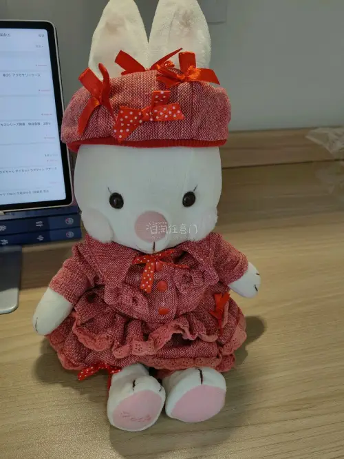 全世界最可爱的宝宝，漂洋过海来到了我的身边，太可爱了，娃娃和衣服一起到了，给小兔子穿上，特别可爱⚈₃⚈男朋友给乖宝宝起了名字，叫“肉肉”，下次有机会再切一只，名字叫“嘎嘎”嘿嘿 (◍＞◡＜◍)