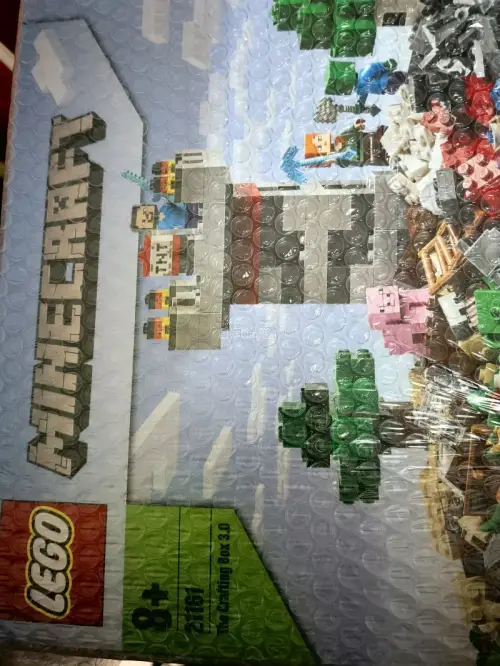 这次买了两盒乐高，走的是竹蜻蜓路线，虽然由于排队的原因耽误了一些时间，但依旧比较快得送达了，包装得也非常好