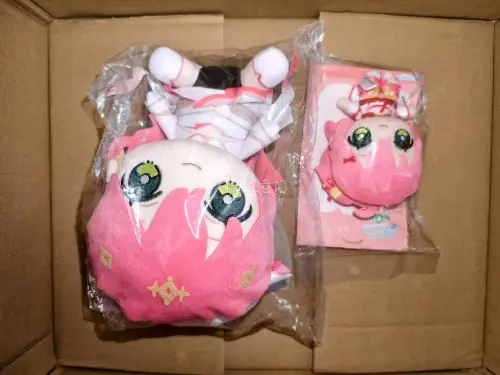 终于收到挖煤姬的谷子啦!包装超用心，气泡膜裹得很严实，吧唧、纸片全都完好，盒况完美没压痕。物流比预想快，清关顺利，品相超正，和图片一模一样，日淘挖煤就认准挖煤姬，强烈推荐!