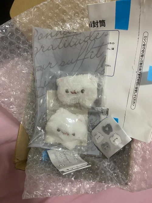 这次买了两个毛绒小发夹，依旧走的拼团拼邮，然后也还是又快又方便好吧！团长打包得也很好！！！以后也会继续用挖煤姬切煤的