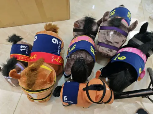 挖煤姬是一款非常好用的海淘软件，经常会有各种不同的优惠券，每隔几天都会发放一批新的优惠券。而且操作简单易上手，还有积分抵扣国际运费的活动。我依旧是选择海运的运输方式，从发货到签收只用了20天左右，对这个时效超级满意。春天适合收集毛绒玩具。春日好物分享
这次在挖煤姬a...