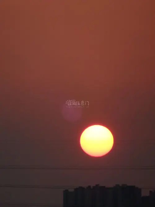 这次买了一台心心念念很久的相机 看到商家降价我就直接买了 型号是奥林巴斯sp100ee 大长焦一体机 可以拍到月亮 这次的物流还是一如既往的快 包装也很结实 新上的去商家包装的服务挺好的 可以帮我省点邮费