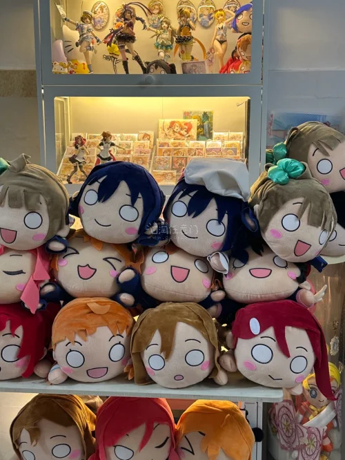 超级可爱的lovelive趴趴，这次走的是海运，没想到这么块，而且纸箱也没有任何的损坏也是非常的安心呀可以的