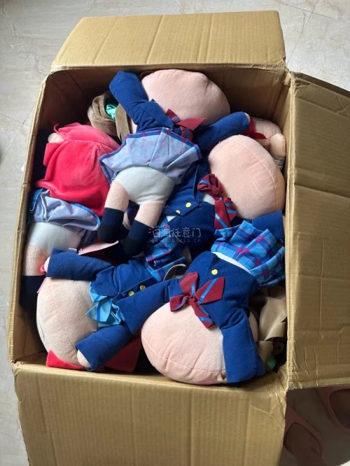 超级可爱的lovelive趴趴，这次走的是海运，没想到这么块，而且纸箱也没有任何的损坏也是非常的安心呀可以的