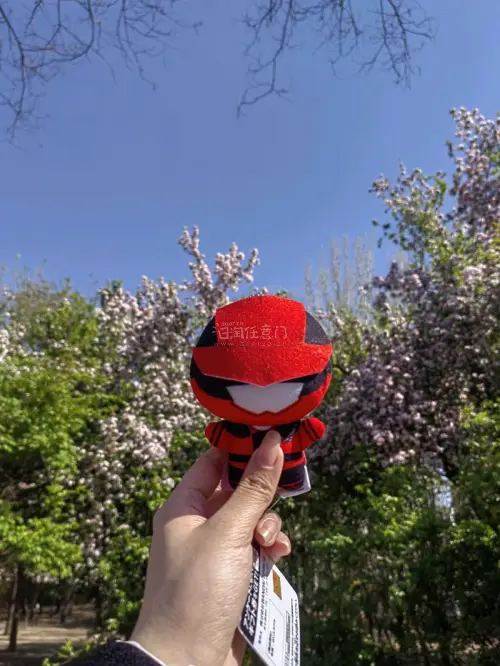 一直没时间写购物分享，这次来啦
这次遇到了好价的快警努努，之前抽到了87折的券，买了一直想买的生写盘，希望下次也能遇到好价
