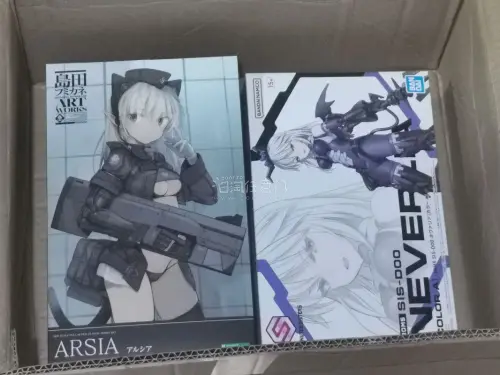 从煤炉的个人卖家手上淘到的，好价，奈瓦莉娅有一点盒压。24年末的时候pdd有91的奈瓦莉娅，当时觉得贵没买，没想到后续价格就没下来过。现在30ms就差双鬼和地狱犬了。