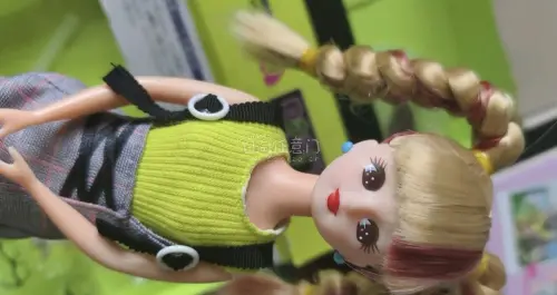 第一次买丽佳娃娃，这是一款在日本很受欢迎的娃娃，通过竞拍，用非常划算的价格买到了，虽然是二手的但是保存很好，很愉悦的一次购物