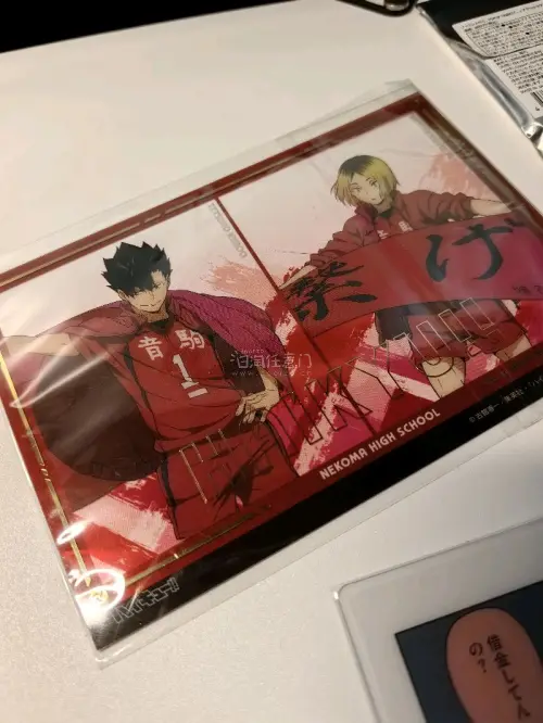 挖煤姬日淘体验超棒！中文界面简洁易懂，自带翻译，新手也能轻松下单。商品到手完好无损。物流时效稳定，全程可追踪，ems路线时效很快。这次买的都是一些小件比如明信片透卡之类的，都保护的很好，没有损坏。