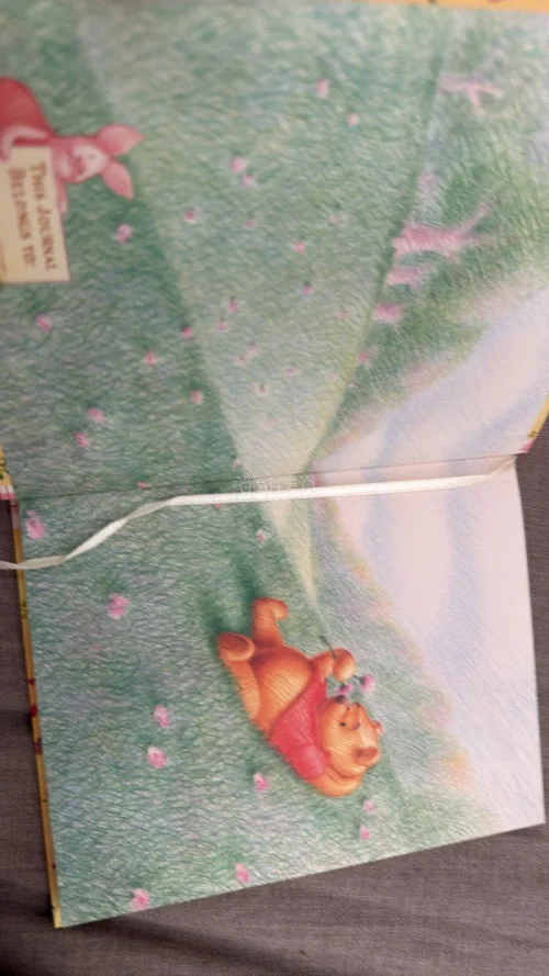 非常喜欢！！这本维尼笔记本太可爱了，软乎乎的画风超治愈！整体充满温馨童趣感，让人一眼就爱上。海淘体验超棒，轻松淘到心头好，爱了爱了～物流也很快，包装完美