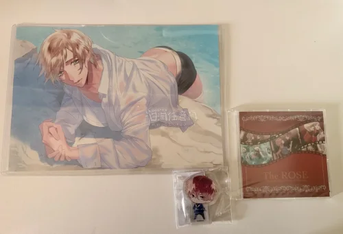 这次是小黑屋三件套，出物老师非常细心，寄过来的海报不卷不折也没有瑕疵，CD甚至是全新未拆的。包裹选了EMS速度非常快，任意门真的很好用