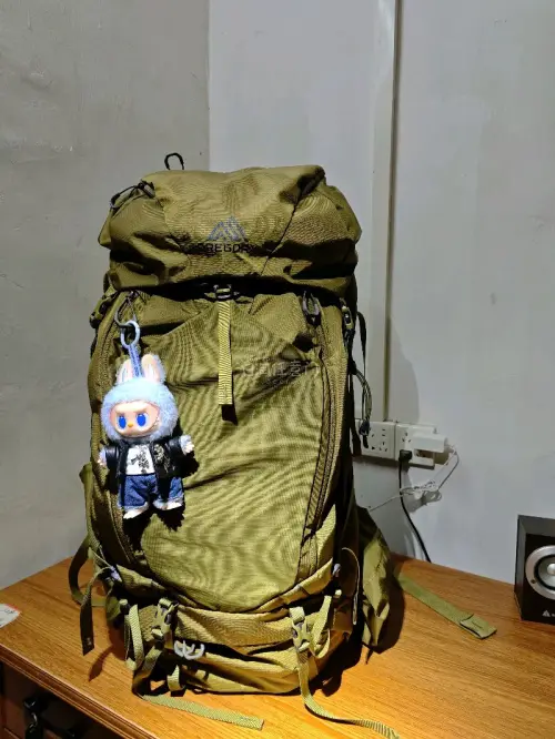 挖煤购买的格里高利