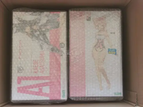 本次海淘的内容是寿屋白吾妻和猫耳娘，两个都是在Lashinbang上买的，商品包的很不错，但这次竹蜻蜓专线的箱子够离谱的，它是拿两个箱子组合一个超大体积的箱子，然后我开箱的时候就是图2的状态。