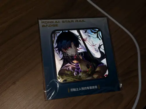 正好最近在切煤，这个gsc吧唧居然也是给我捡着好价了，什么出口转内销。甚至那个卖家只打了崩铁都没打角色名，这也能捡漏……通缉令也是好帅，好大一张。
这单走的竹蜻蜓，去了原包装但好在东西没事。时效还算快？基本上是紧随着第一单到的。