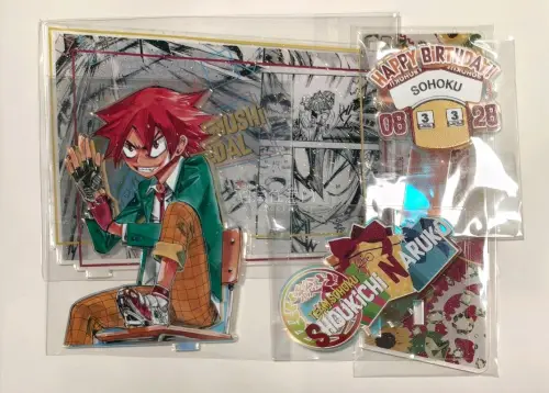 这箱都是骏河屋切的单车立牌和吧唧，上新后下单速度很快，基本能抢到好价。国际物流方面走的邮政航空小件，基本发货后7天左右收到。