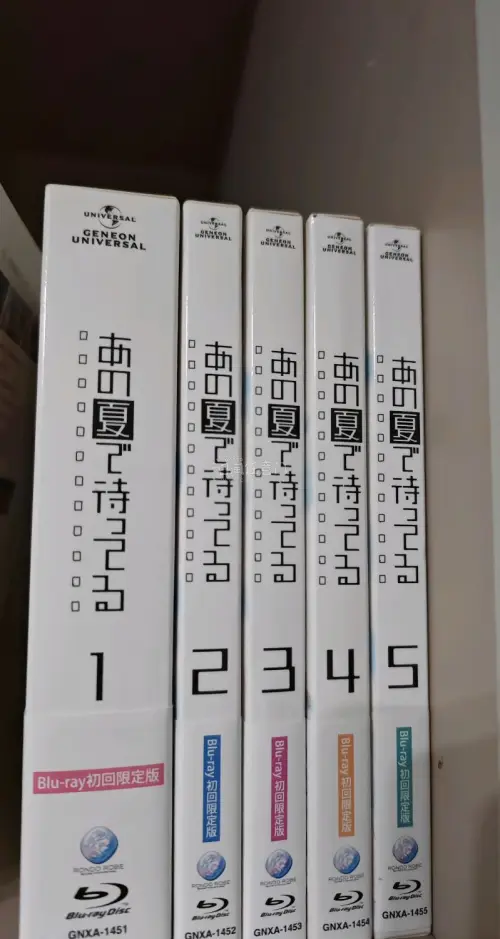 这次买了一些蓝光碟和叛逆的鲁鲁修CD，东西比较多，用了海运，也很幸运没有被税，任意门这次打包的还算可以，没什么大损伤。