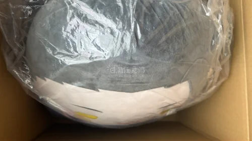 第一次使用挖煤姬这个软件购买物品，切煤切到好物了，送的特别快，买家发货也很快，从下单到收到货总计不到十天，体验感良好