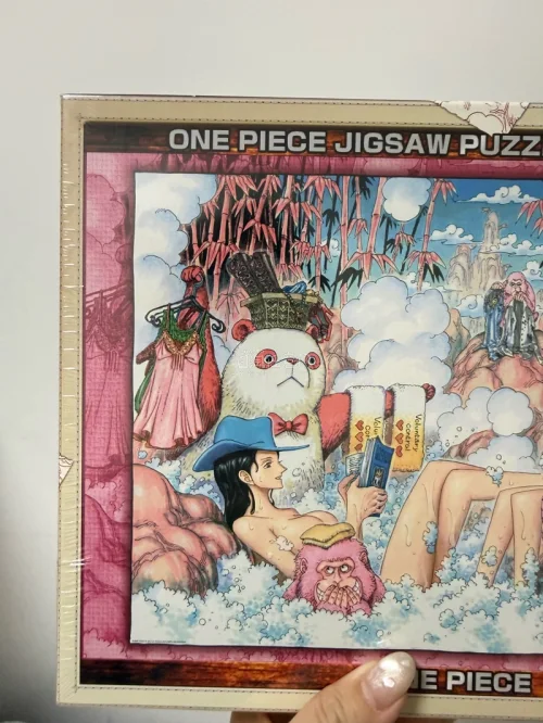 这是拥有的第二幅泡泡浴了～总算拥有了一副全新的！算是我的入坑图之一吧，太好看太喜欢了！1000片装也不会很难～