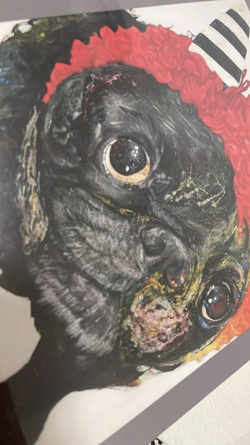 第一次挖煤，看了很多攻略，最终选择挖煤姬。价格能自动计算成人民币，对数学不好的小白来说很方便。提问回复也挺快的。中间有问题解决的也很快。
挖到喜欢的周边很开心