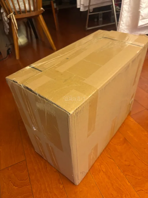 龙珠最新产品