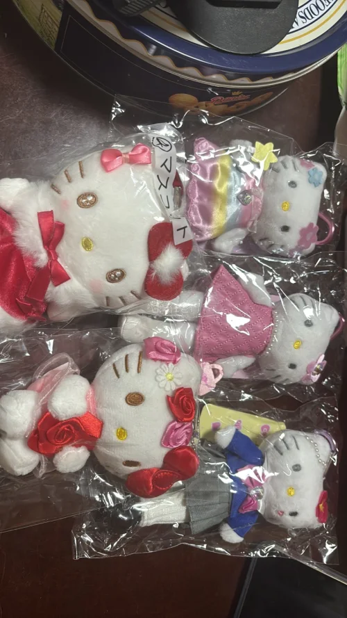 一直蹲，真的给我蹲到了好价的长腿kitty！加上竹蜻蜓的邮费也比国内划算一些，还是全新未拆的！我为挖煤姬打一辈子call！！